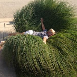 Meet your Posher, Julie